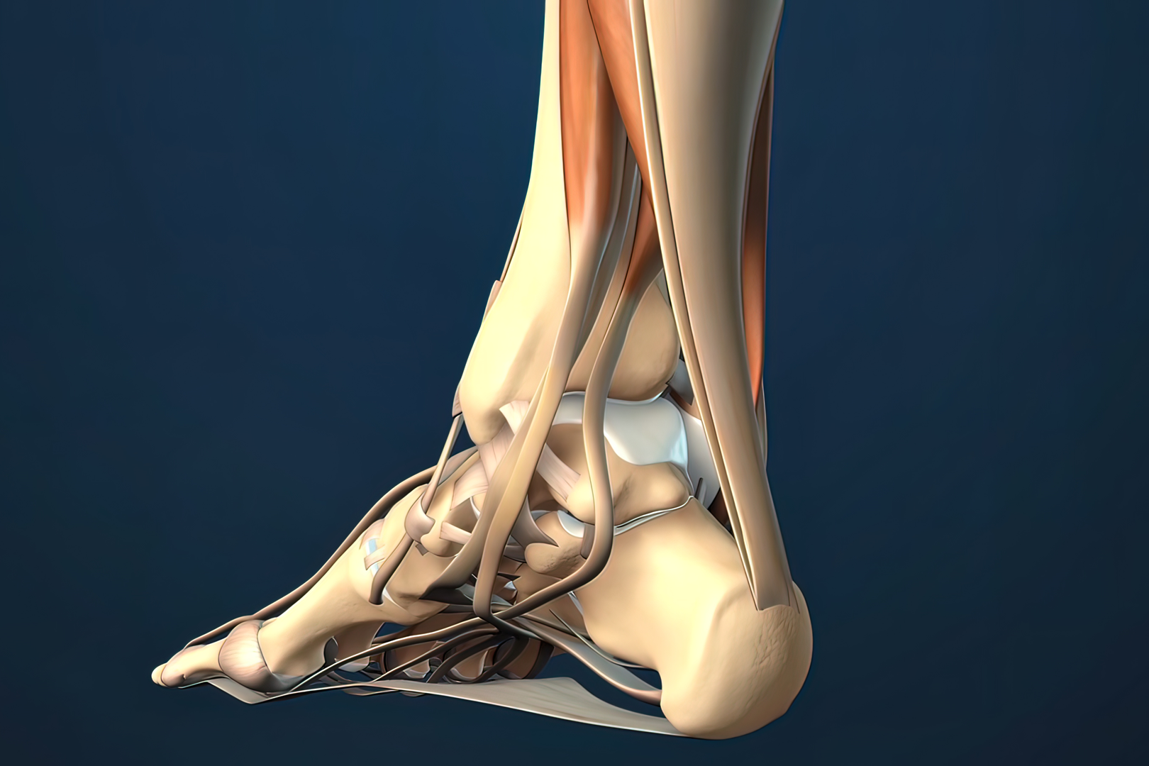 chiropractic for plantar fasciitis