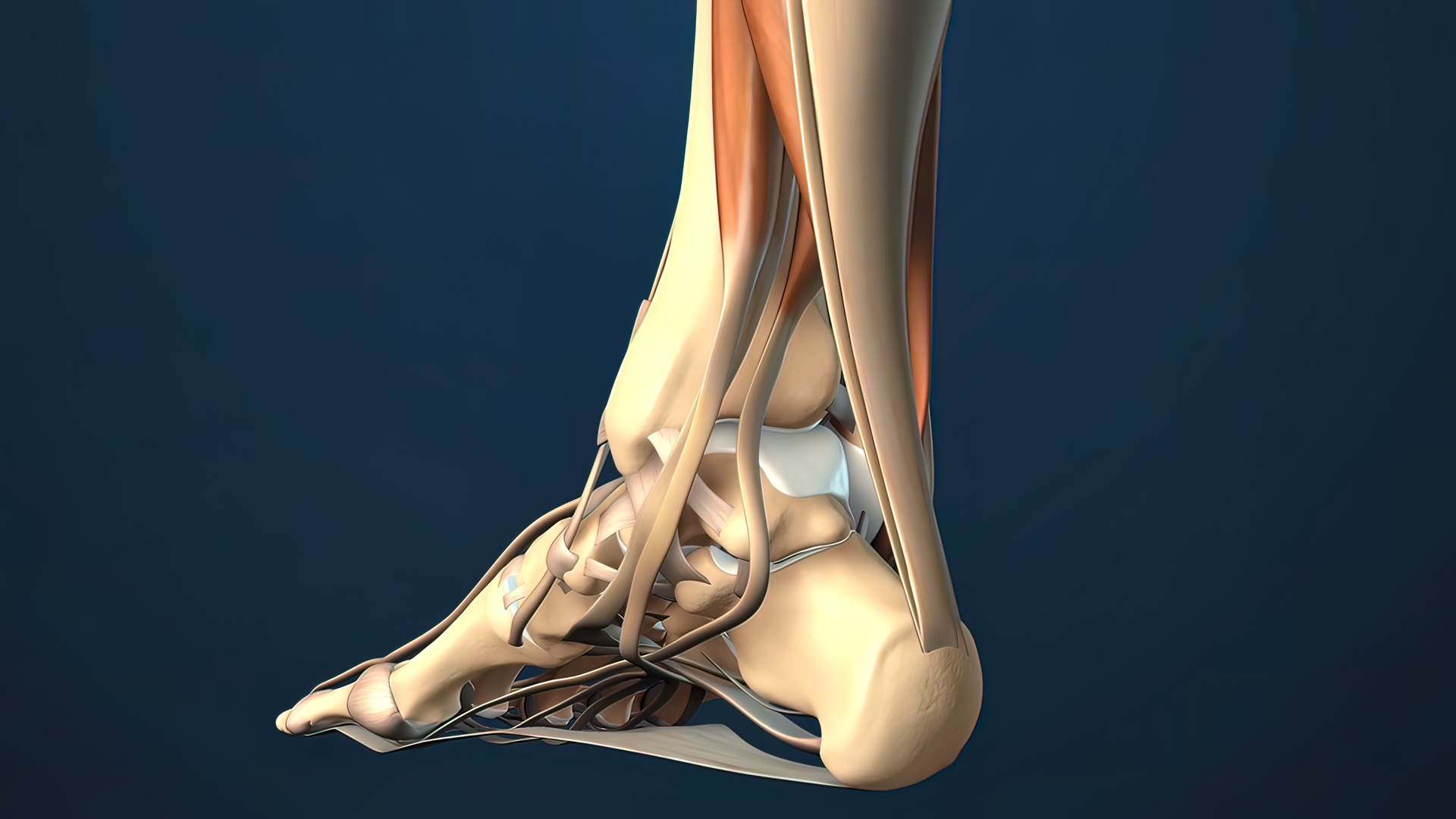 chiropractic for plantar fasciitis